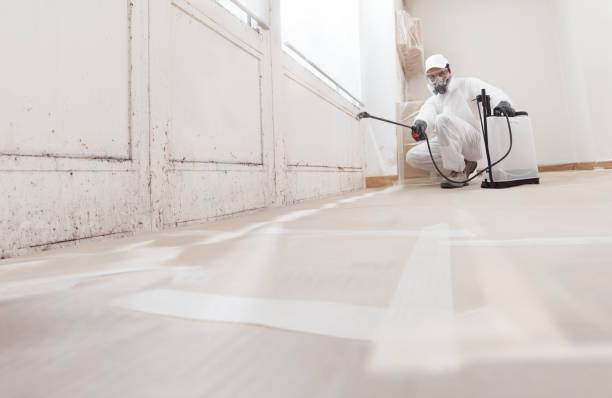 24/7 Emergency Mold Cleanup experts in Springfield, TN